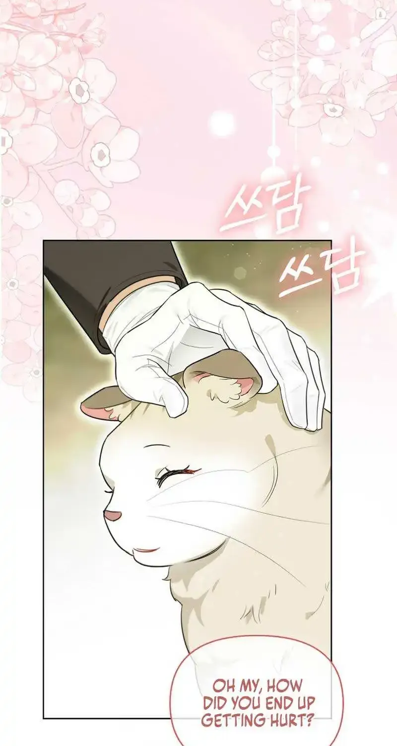 Even Though I Transmigrated as a Villainess, I’d Rather Raise a Cat Zinmanga X Chapter 12 Page 53