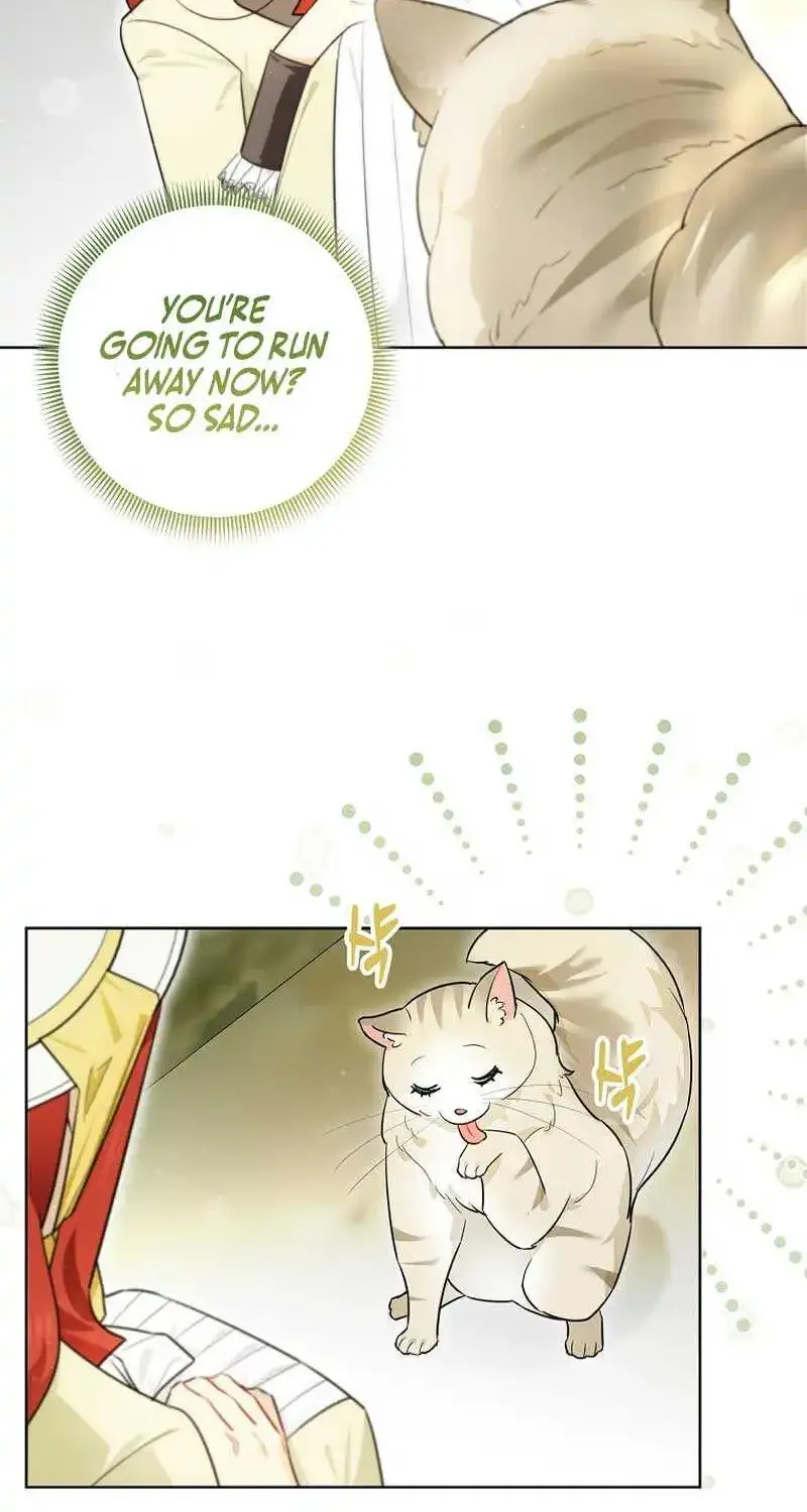 Even Though I Transmigrated as a Villainess, I’d Rather Raise a Cat Zinmanga X Chapter 12 Page 61