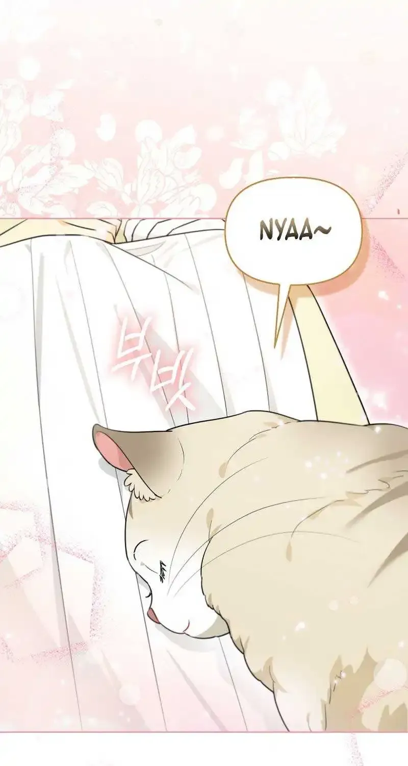 Even Though I Transmigrated as a Villainess, I’d Rather Raise a Cat Zinmanga X Chapter 12 Page 63