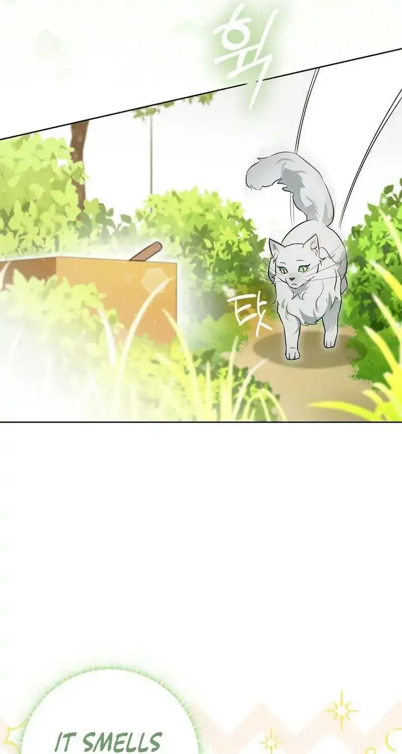 Even Though I Transmigrated as a Villainess, I’d Rather Raise a Cat Zinmanga X Chapter 9 Page 41