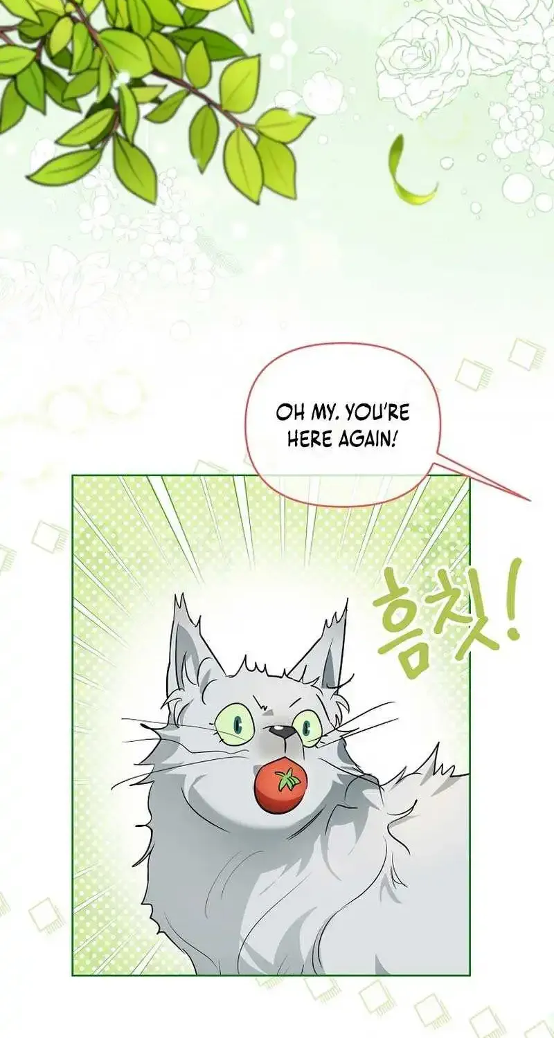 Even Though I Transmigrated as a Villainess, I’d Rather Raise a Cat Zinmanga X Chapter 8 Page 43