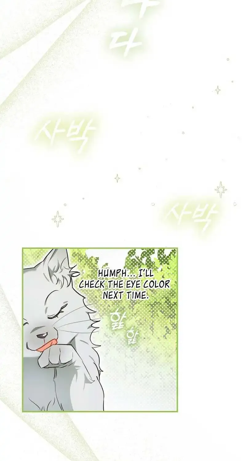 Even Though I Transmigrated as a Villainess, I’d Rather Raise a Cat Zinmanga X Chapter 8 Page 61