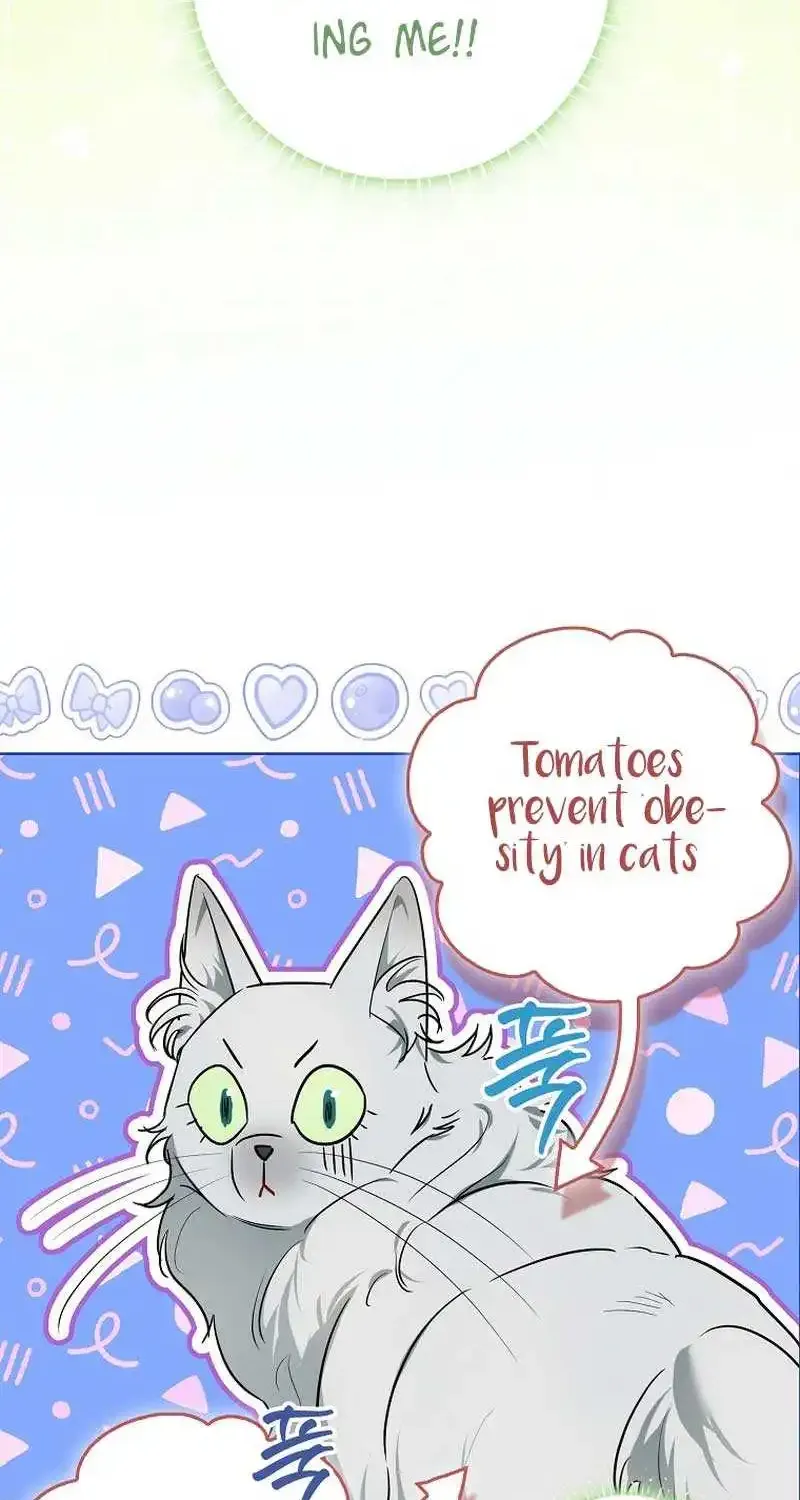 Even Though I Transmigrated as a Villainess, I’d Rather Raise a Cat Zinmanga X Chapter 8 Page 71