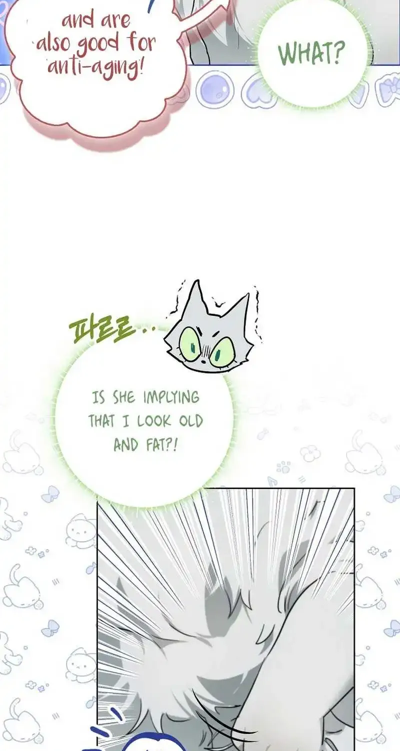 Even Though I Transmigrated as a Villainess, I’d Rather Raise a Cat Zinmanga X Chapter 8 Page 72