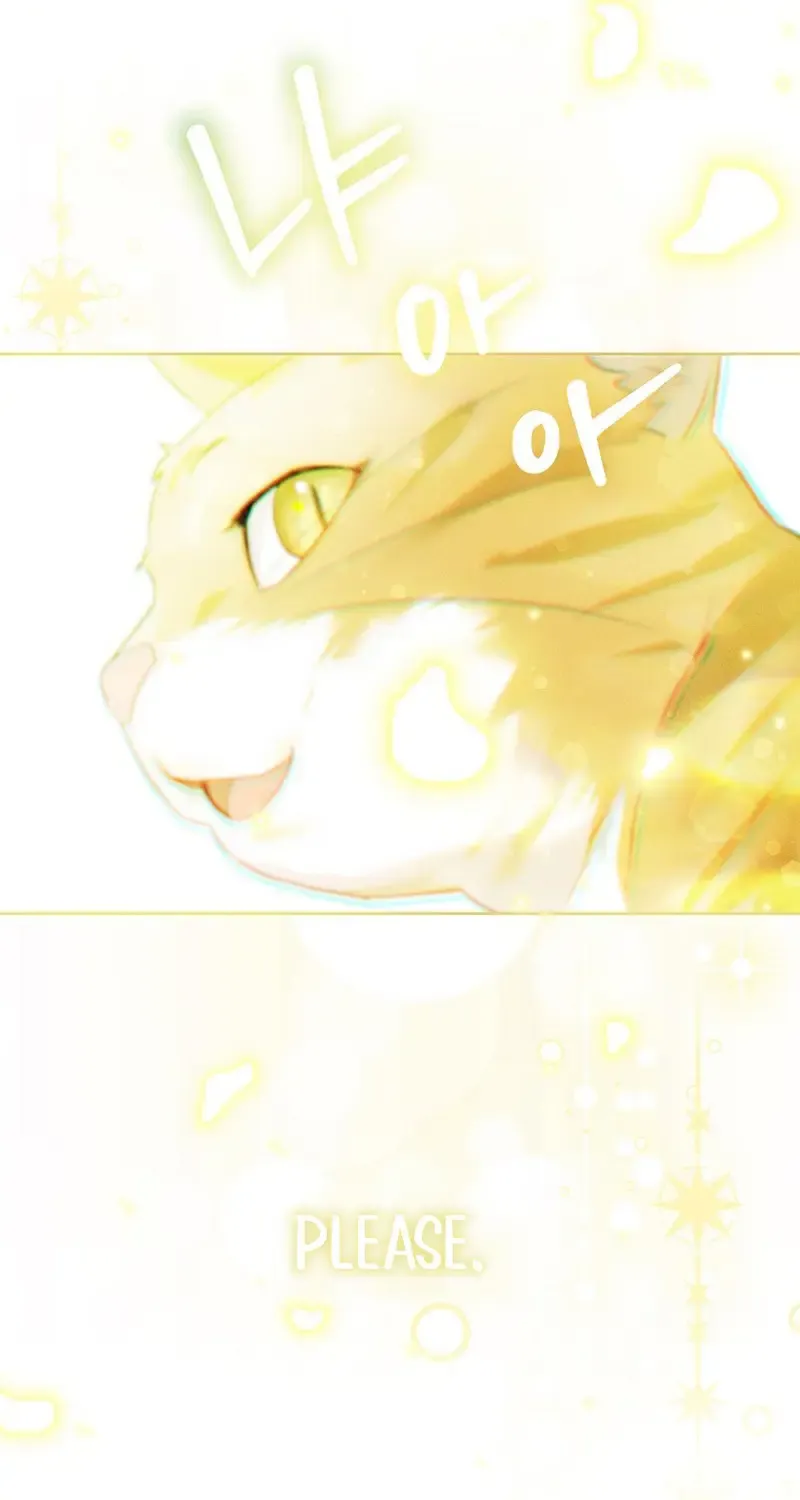 Even Though I Transmigrated as a Villainess, I’d Rather Raise a Cat Zinmanga X Chapter 3 Page 123