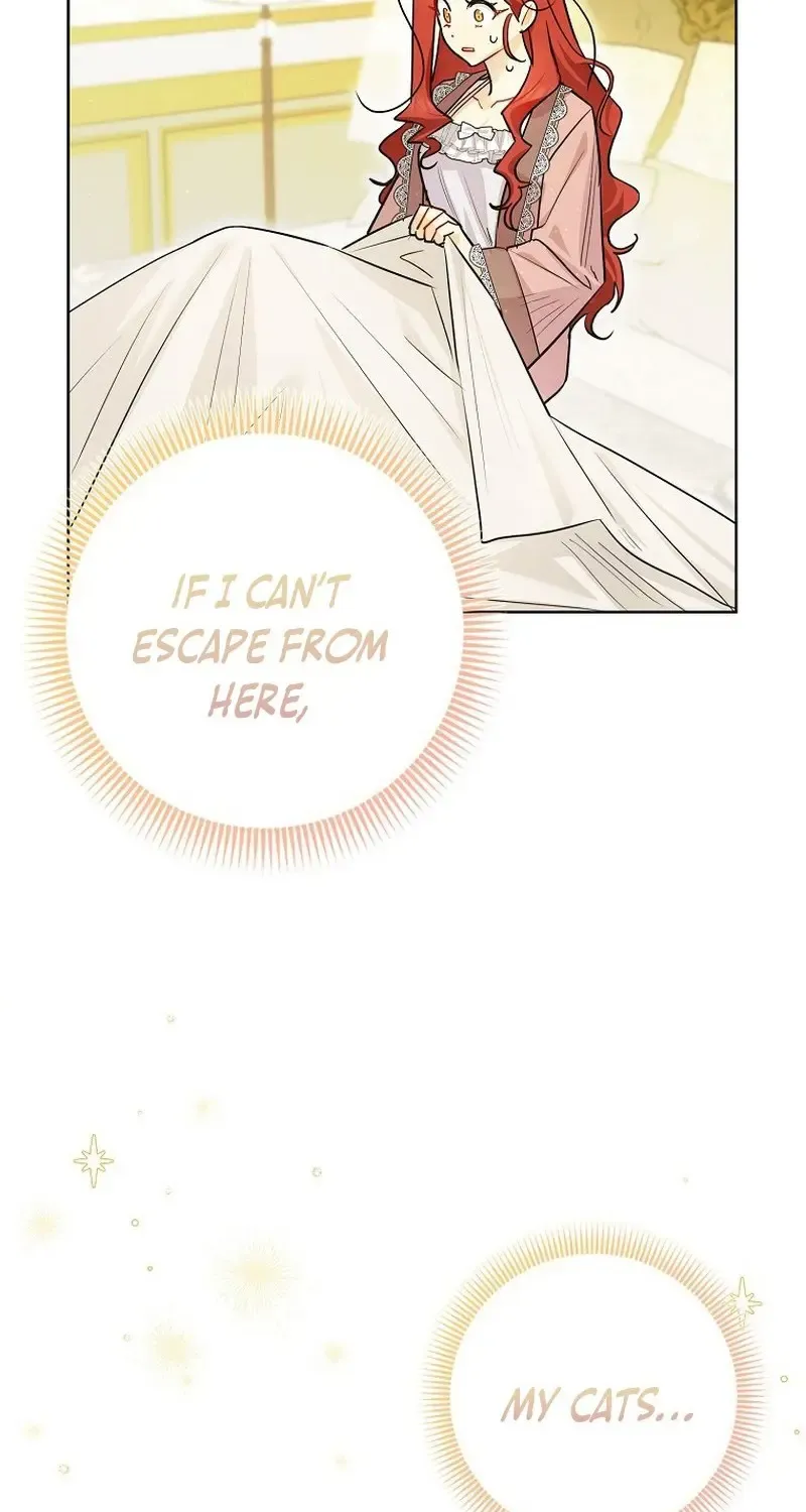 Even Though I Transmigrated as a Villainess, I’d Rather Raise a Cat Zinmanga X Chapter 1 Page 54
