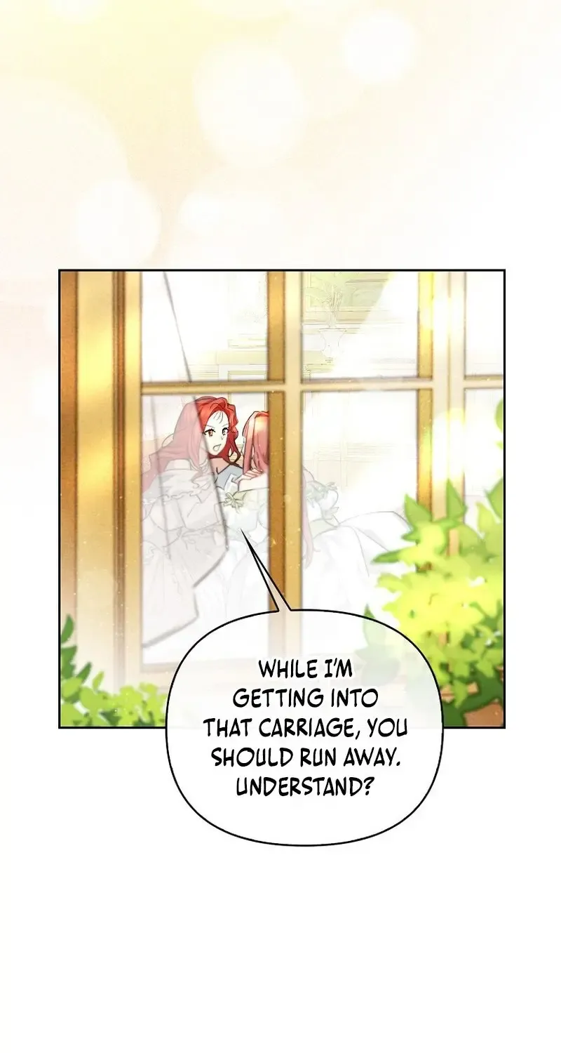 Even Though I Transmigrated as a Villainess, I’d Rather Raise a Cat Zinmanga X Chapter 1 Page 104