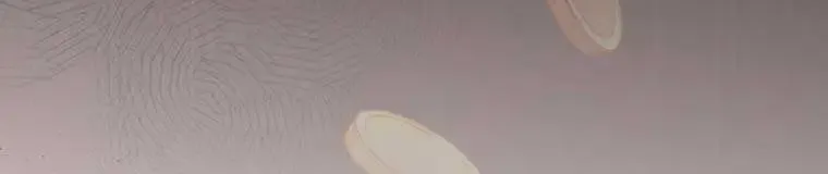 The Reason I Have To Be A Villain Zinmanga X Chapter 6 Page 55