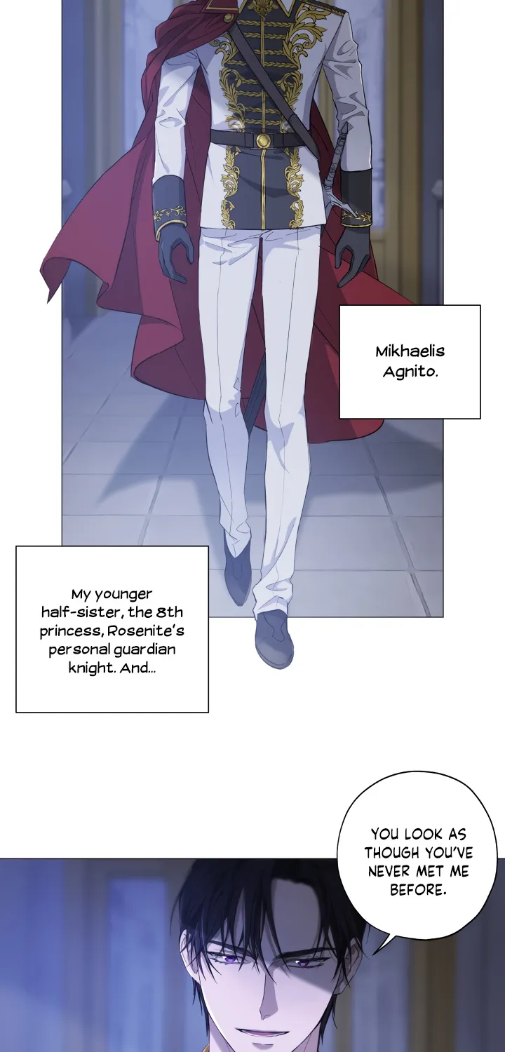 The Princess Imprints A Traitor Zinmanga X Chapter 1 Page 26