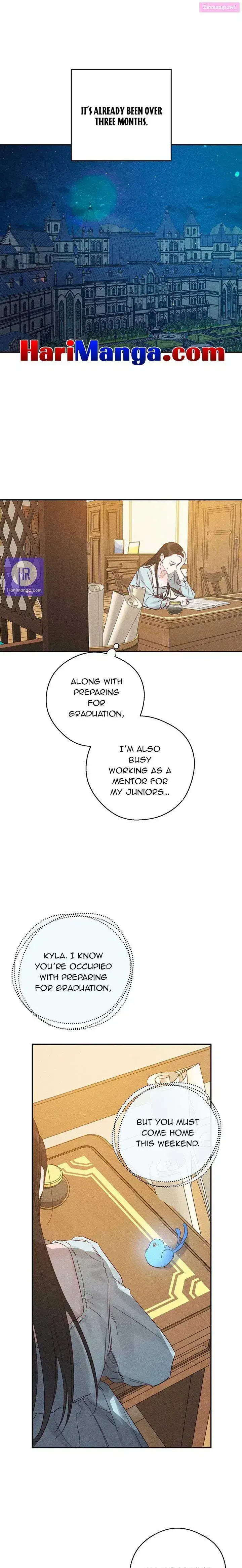 Let’s Hide My Younger Brother First Zinmanga X Chapter 36 Page 1