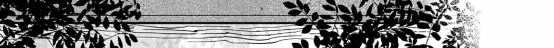 Hotaru No Yomeiri Zinmanga X Chapter 53 Page 30