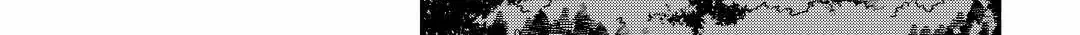 A Banished Odd-Jobber Starts A New Life Zinmanga X Chapter 19 Page 42