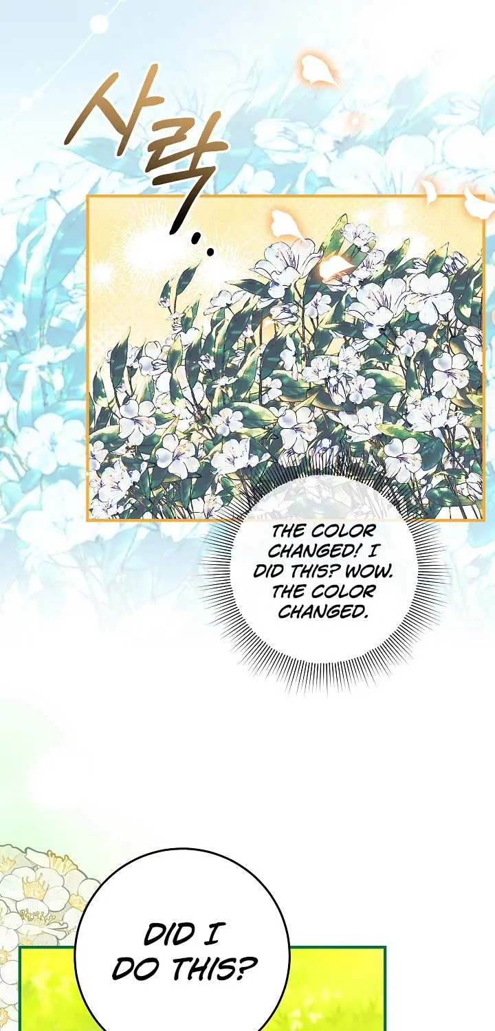 Bluebird Lady and The White Lion Family Zinmanga X Chapter 24 Page 59