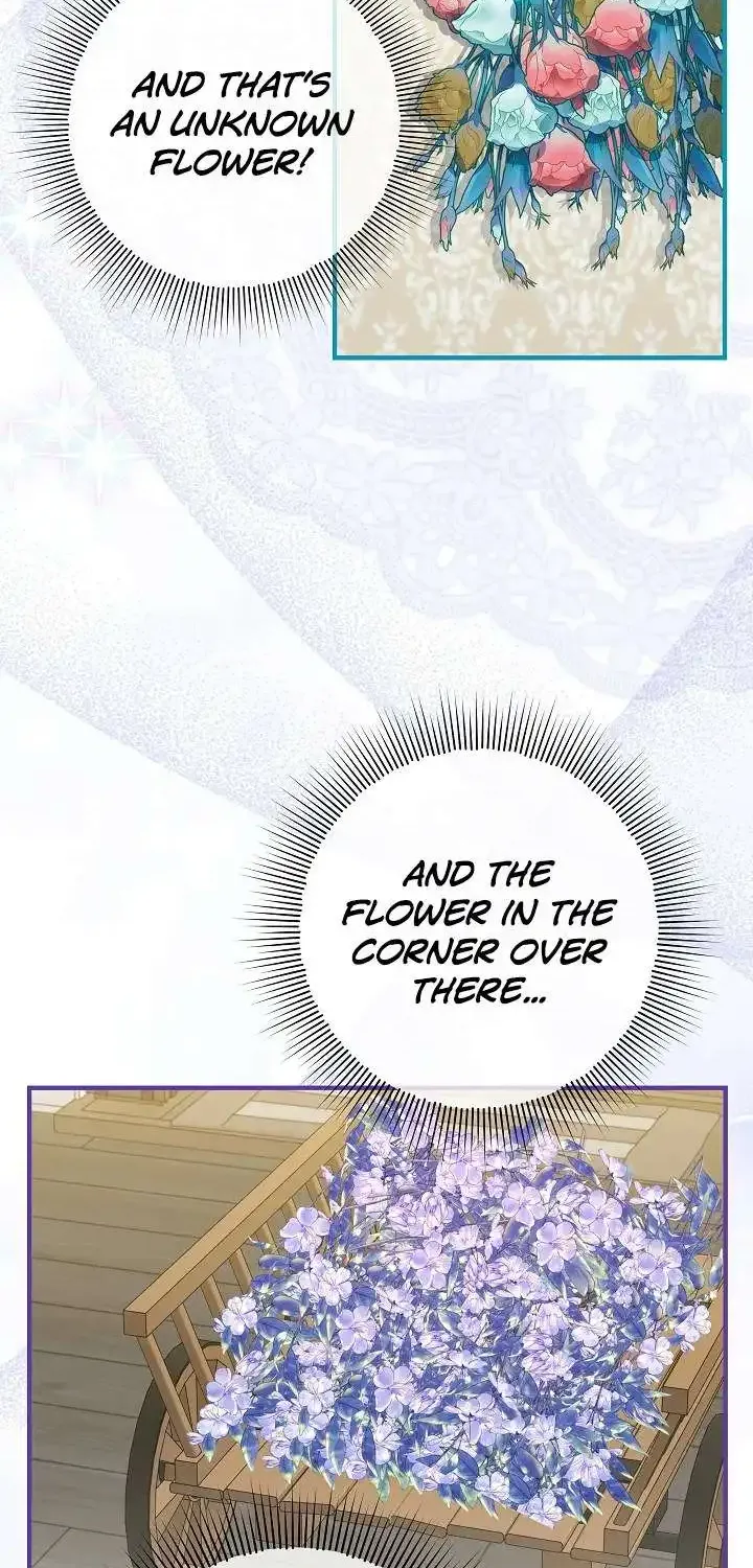 Bluebird Lady and The White Lion Family Zinmanga X Chapter 23 Page 26