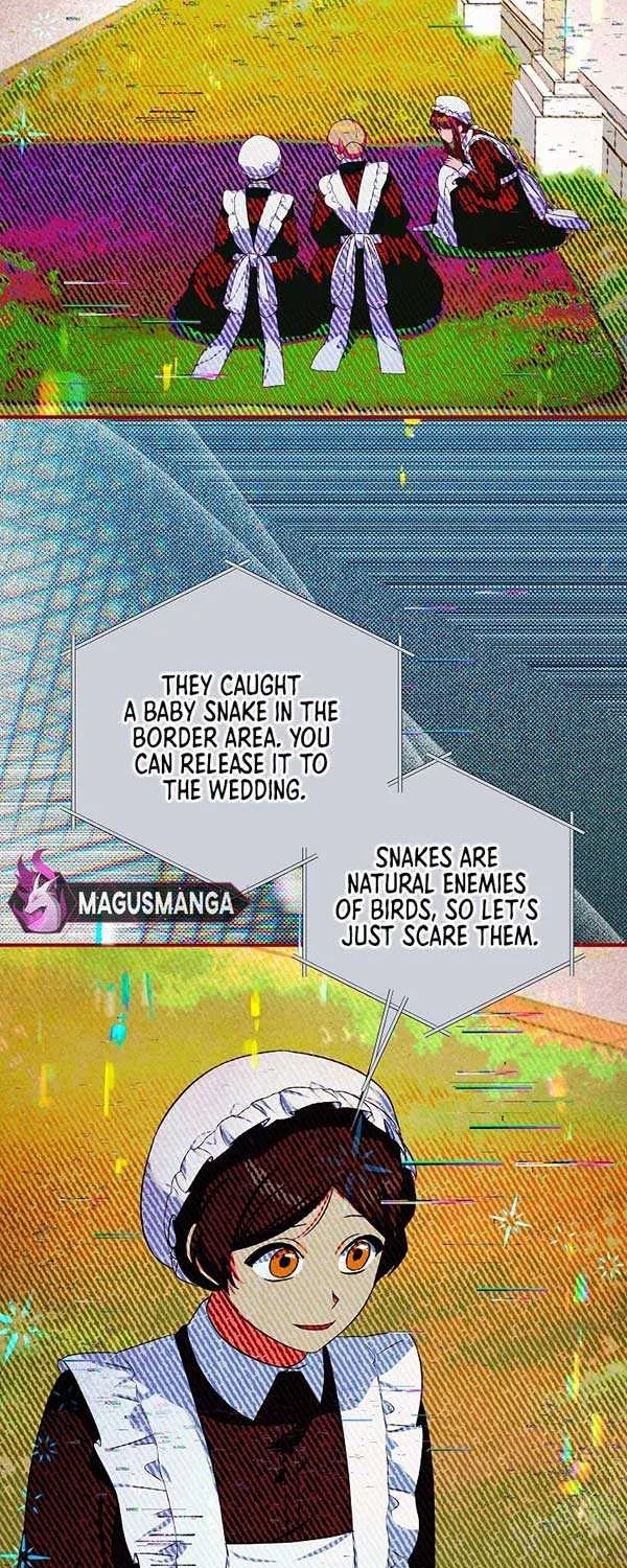 Bluebird Lady and The White Lion Family Zinmanga X Chapter 18 Page 44