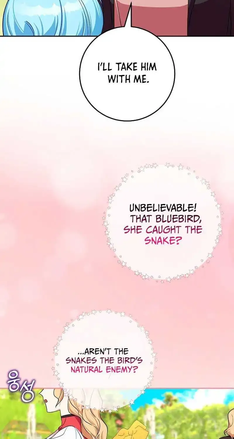 Bluebird Lady and The White Lion Family Zinmanga X Chapter 11 Page 15