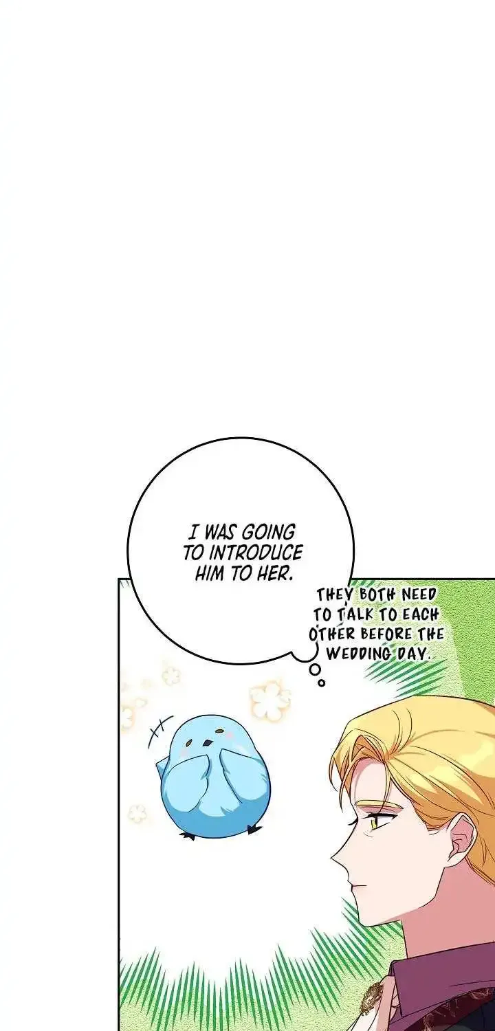 Bluebird Lady and The White Lion Family Zinmanga X Chapter 8 Page 9