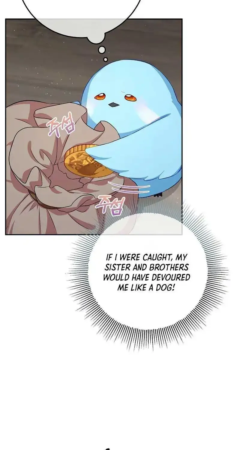 Bluebird Lady and The White Lion Family Zinmanga X Chapter 3 Page 33