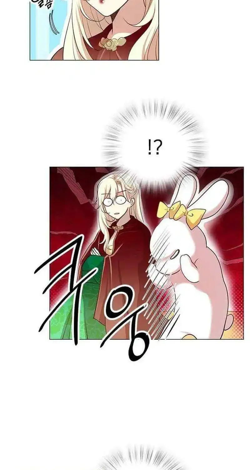 I Became the Rabbit Heroine’s Stepmother Zinmanga X Chapter 5 Page 35