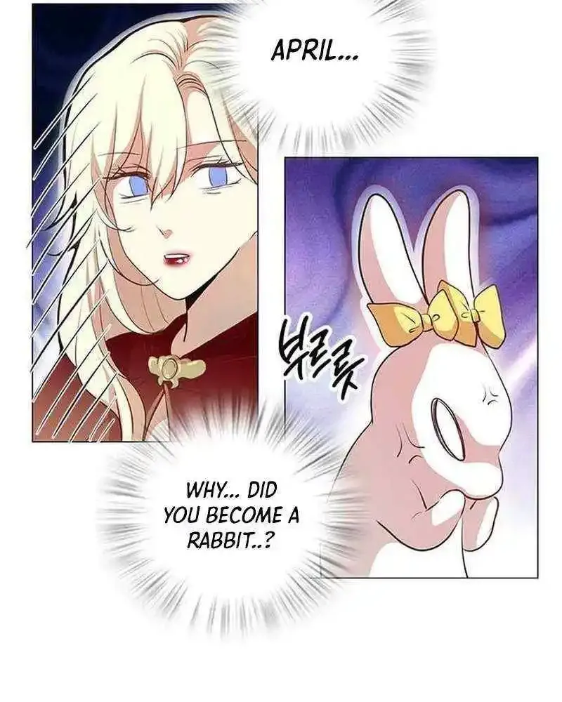 I Became the Rabbit Heroine’s Stepmother Zinmanga X Chapter 5 Page 36