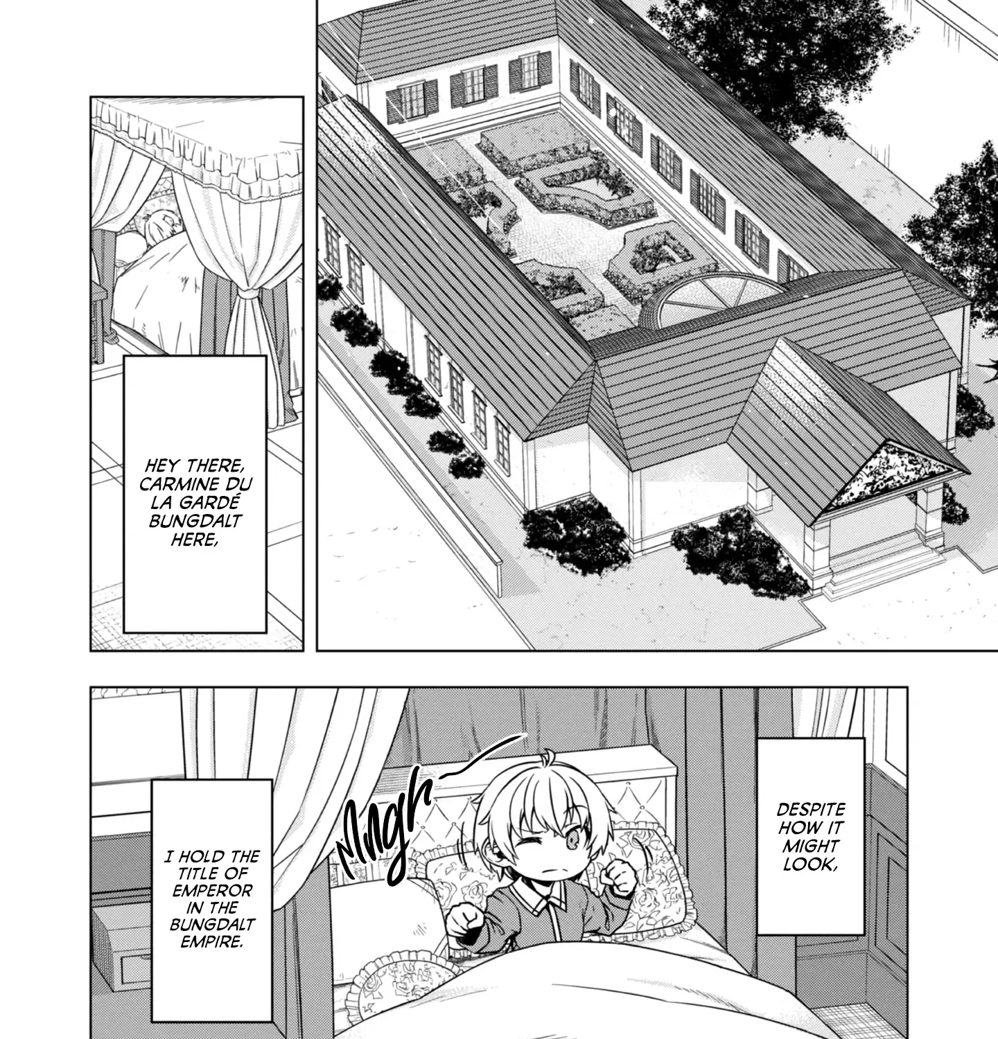 Tensei Shitara Koutei deshita ~Umare Nagara no Koutei wa Kono Saki Ikinokoreru ka~@COMIC Zinmanga X Chapter 2 Page 3