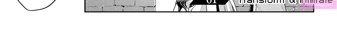Destiny Unchain Online ~Kyuuketsu-ki Shoujo to natte, Yagate『 Aka no Maou』to Yobareru You ni Narimashita~ Zinmanga X Chapter 61 Page 11