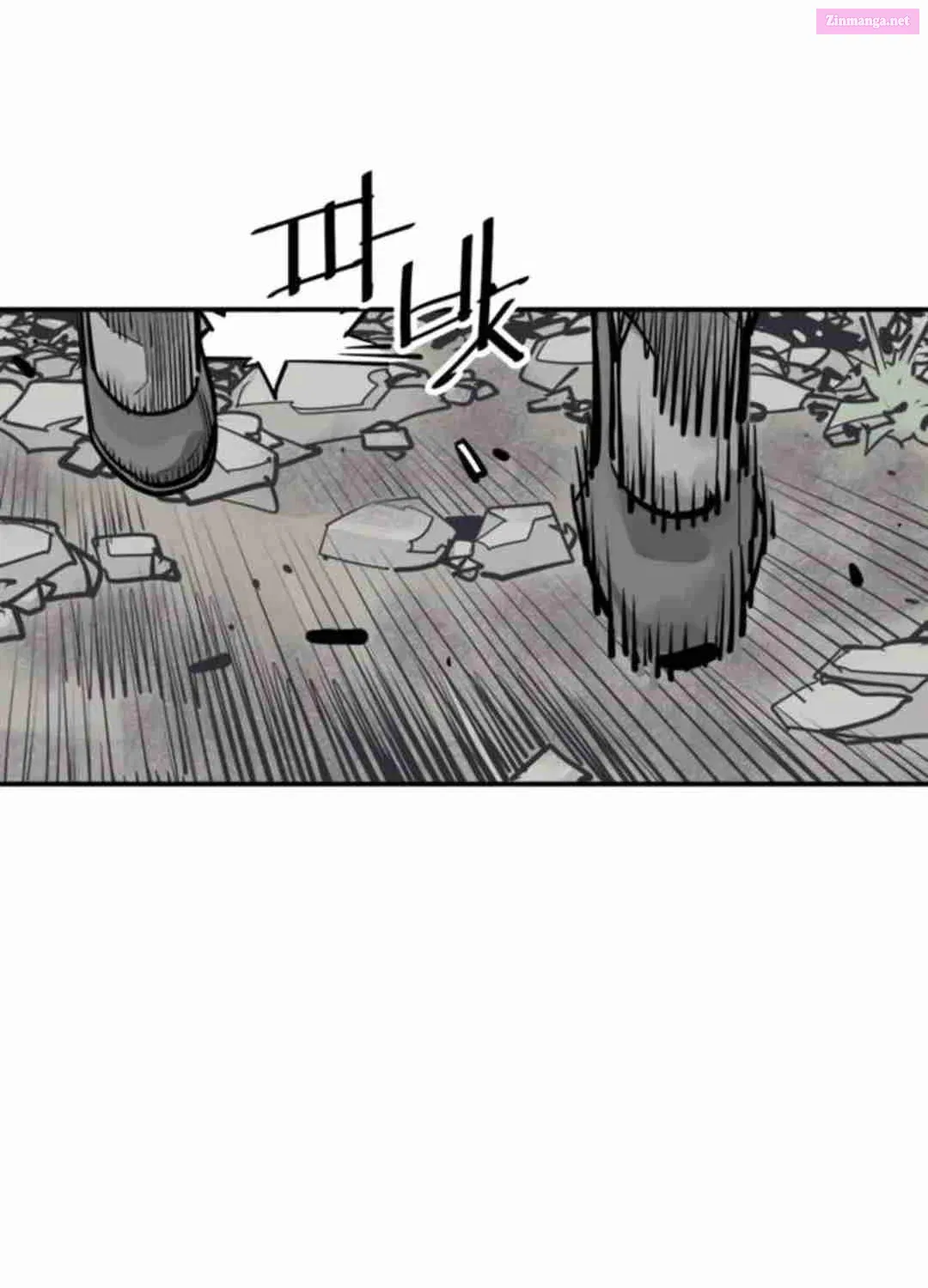Shashin Zinmanga X Chapter 84 Page 71
