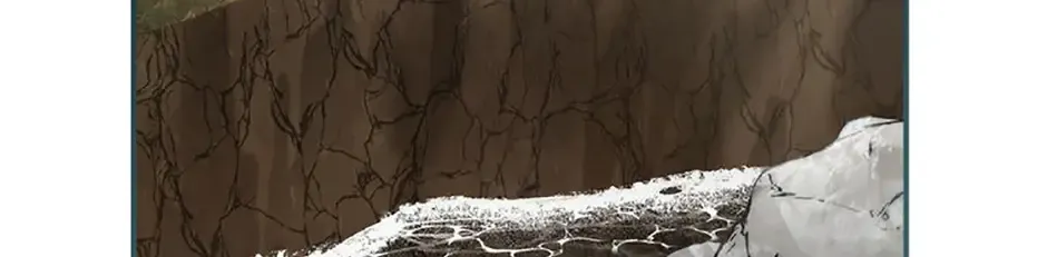 Fakes Don’t Want To Be Real Zinmanga X Chapter 77 Page 160