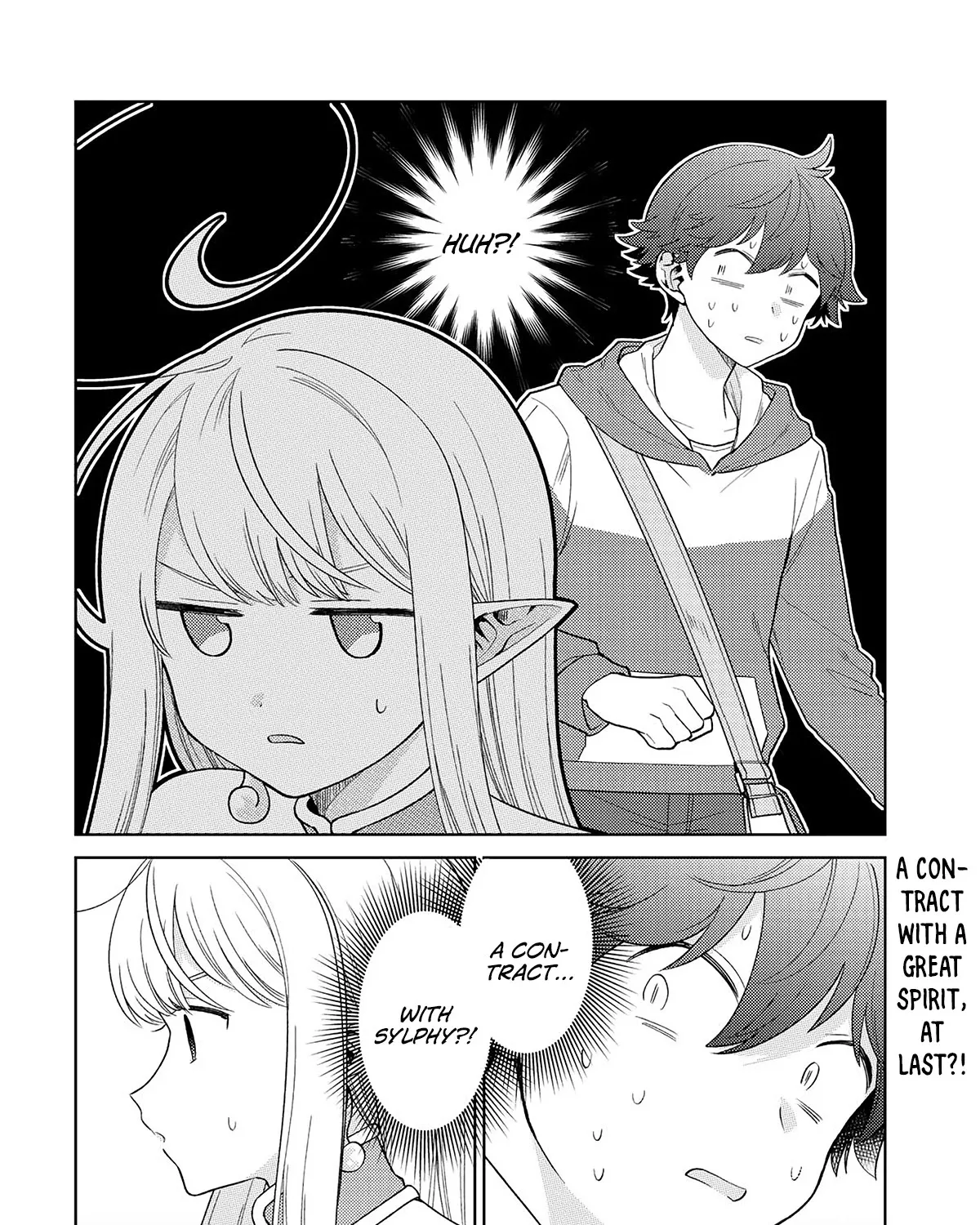 Seirei-tachi no Rakuen to Risou no Isekai Seikatsu Zinmanga X Chapter 17 Page 41