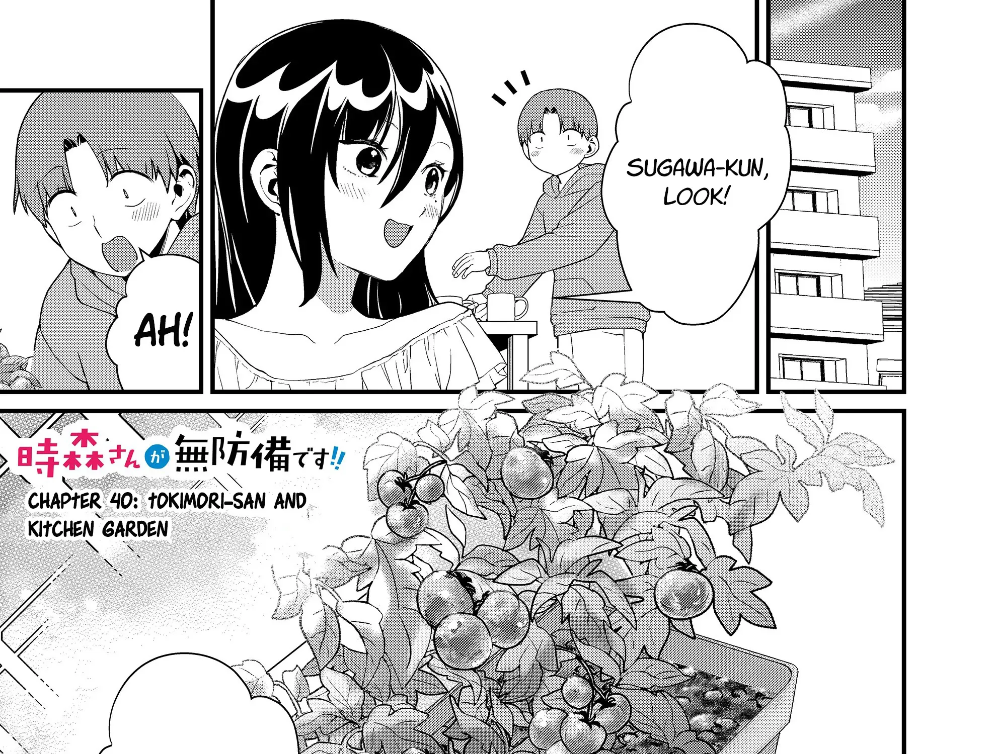 Tokimori-San Ga Muboubi Desu!! Zinmanga X Chapter 40 Page 3