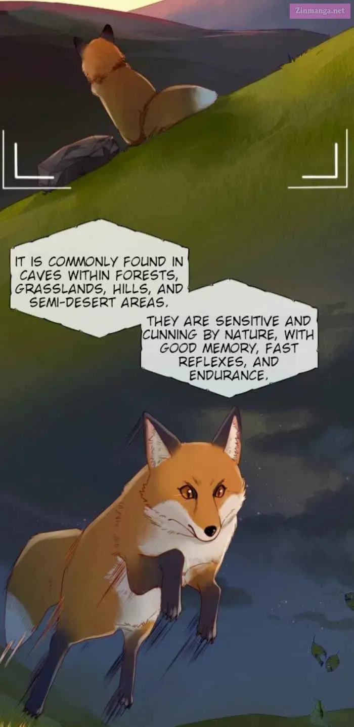 Foxes Always Lie Zinmanga X Chapter 1 Page 3