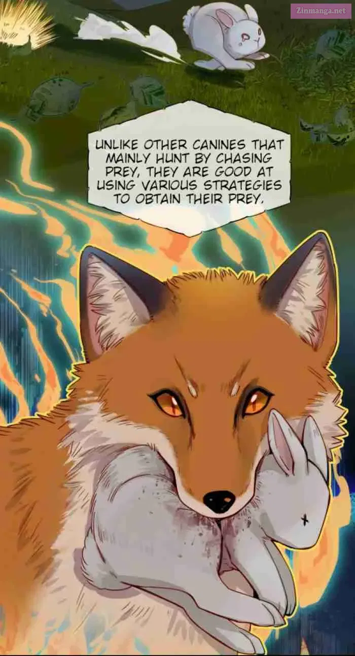Foxes Always Lie Zinmanga X Chapter 1 Page 4