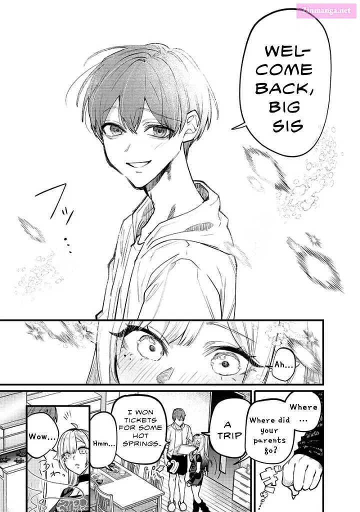 Namaiki na Gal Ane wo Wakaraseru Hanashi Zinmanga X Chapter 13 Page 3