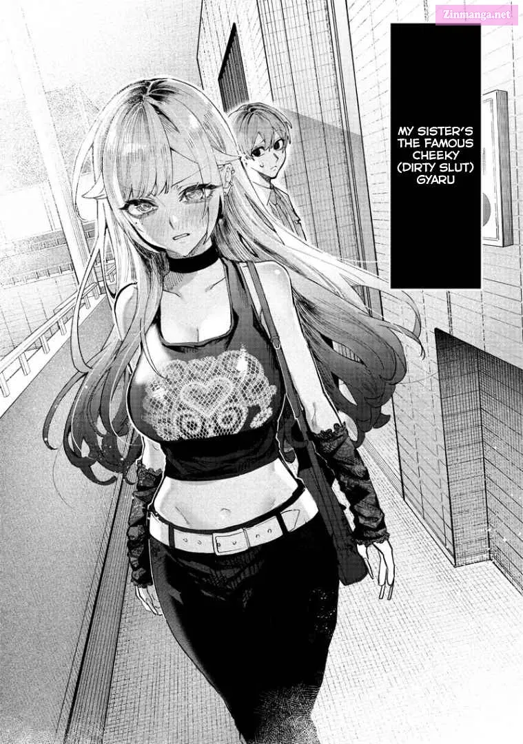 Namaiki na Gal Ane wo Wakaraseru Hanashi Zinmanga X Chapter 1 Page 13
