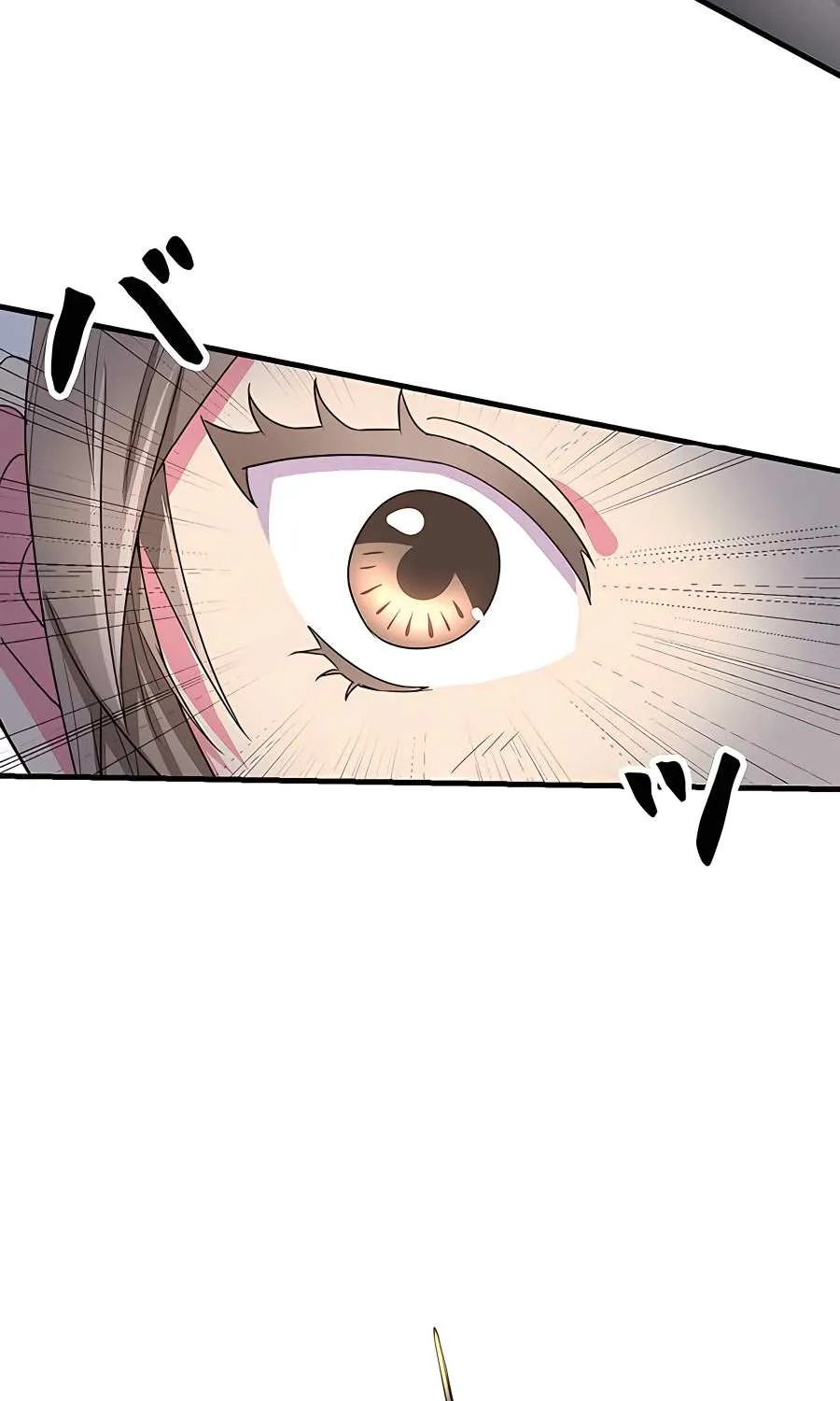 Even though I become a side character, I’m being adored by an overprotective duke Zinmanga X Chapter 3 Page 82