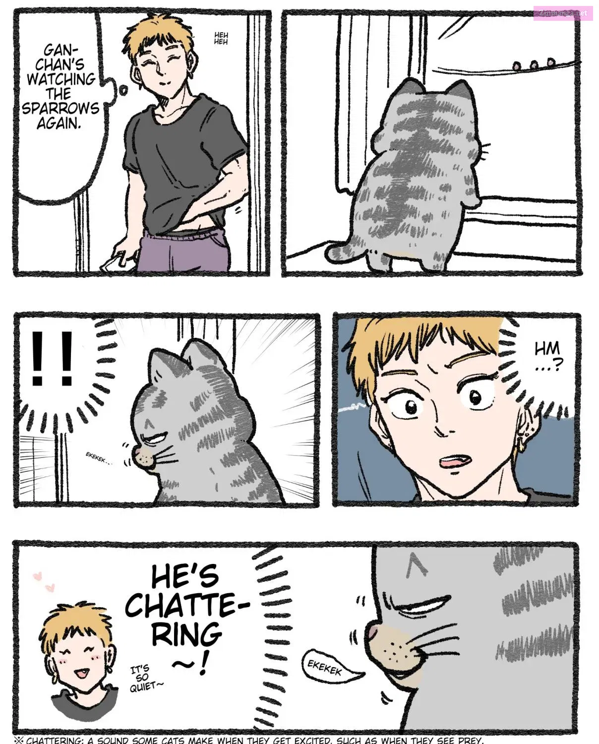 Neko oji: Salaryman reincarnated as a kitten! Zinmanga X Chapter 568.5 Page 1