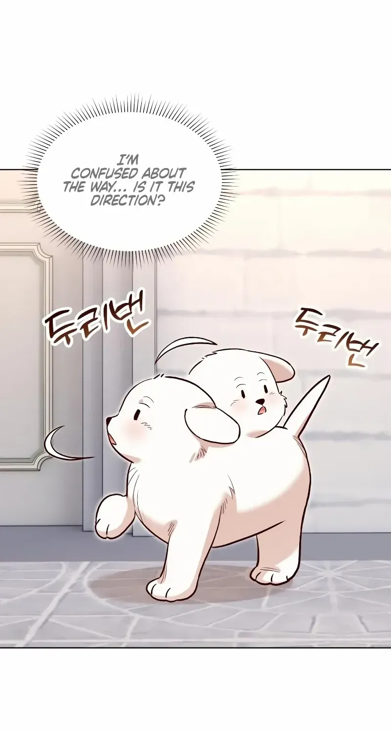 The Emperor's Dog Zinmanga X Chapter 12 Page 65