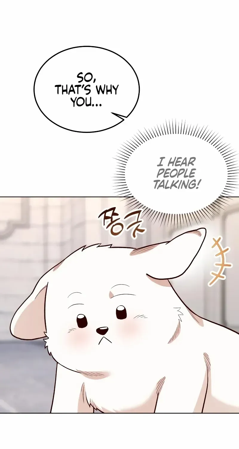 The Emperor's Dog Zinmanga X Chapter 12 Page 66