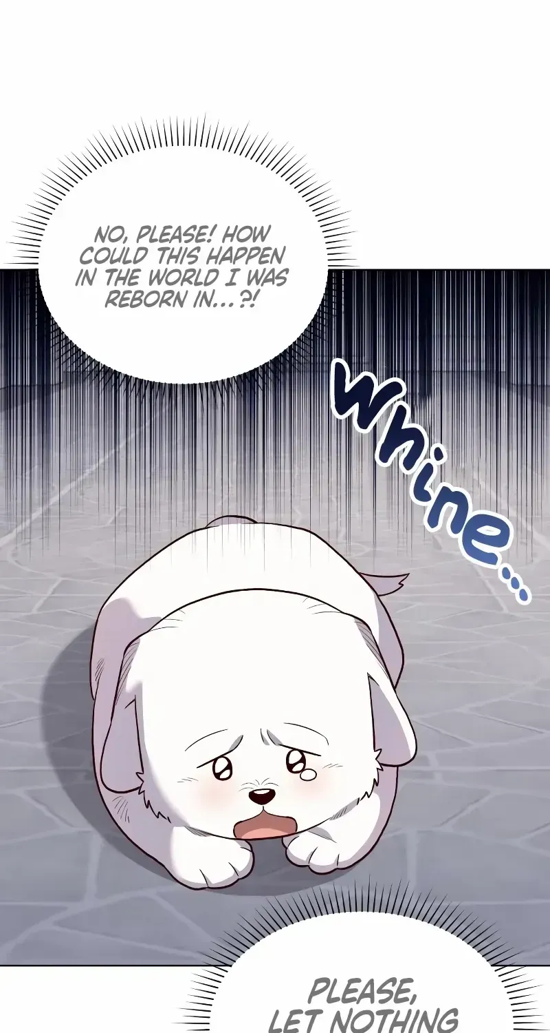 The Emperor's Dog Zinmanga X Chapter 12 Page 75