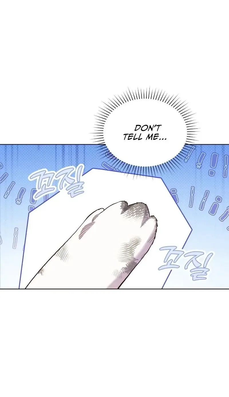 The Emperor's Dog Zinmanga X Chapter 9 Page 6