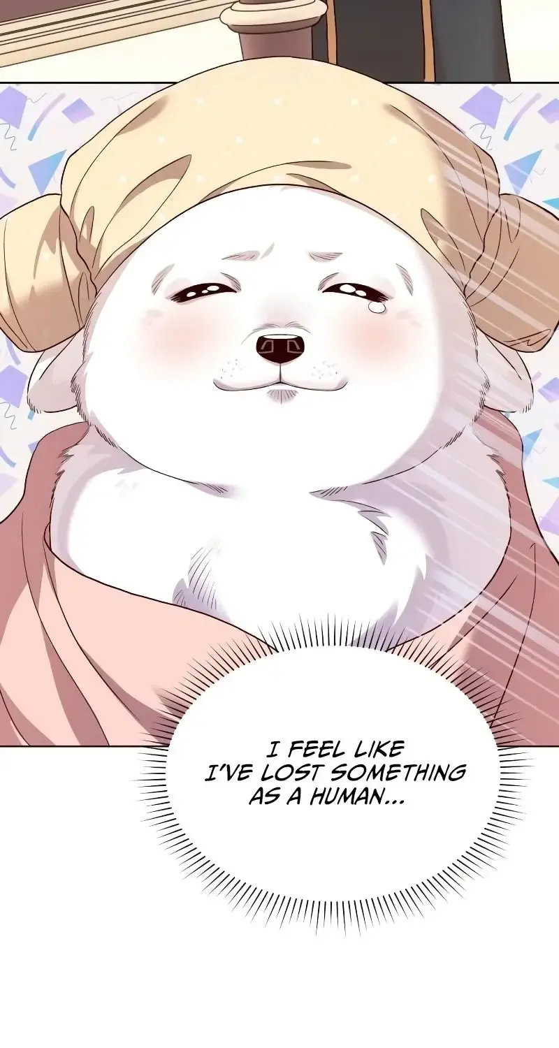 The Emperor's Dog Zinmanga X Chapter 9 Page 33