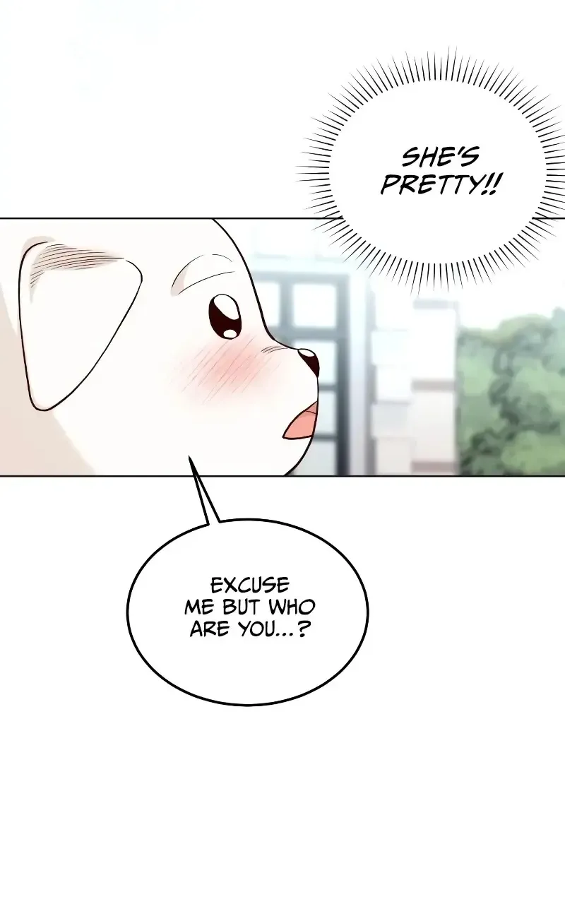 The Emperor's Dog Zinmanga X Chapter 6 Page 24