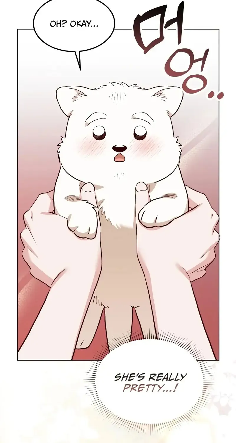 The Emperor's Dog Zinmanga X Chapter 6 Page 32