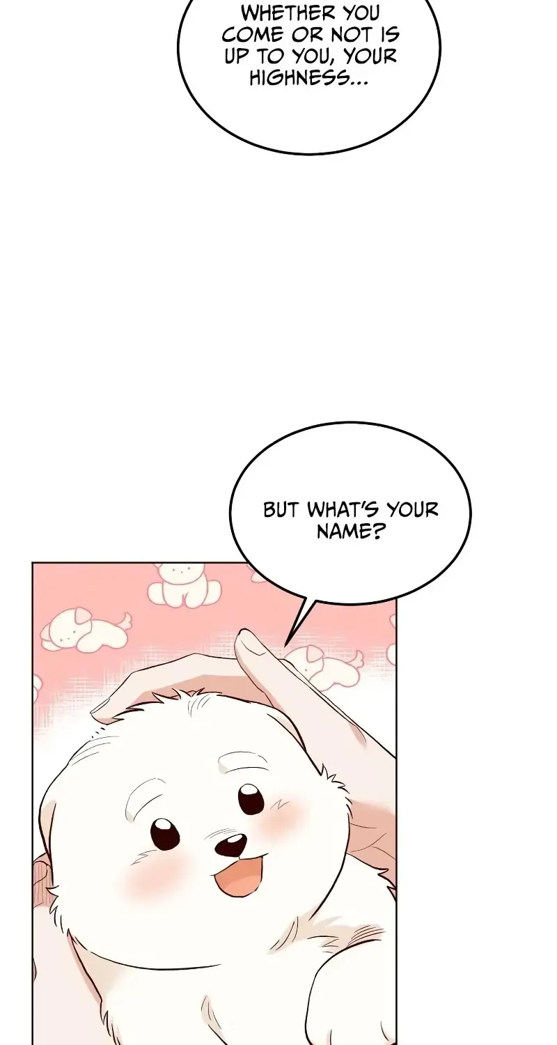 The Emperor's Dog Zinmanga X Chapter 6 Page 51