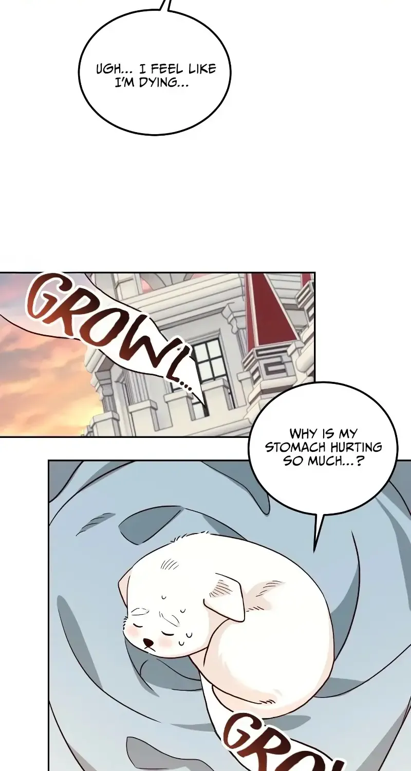 The Emperor's Dog Zinmanga X Chapter 5 Page 9