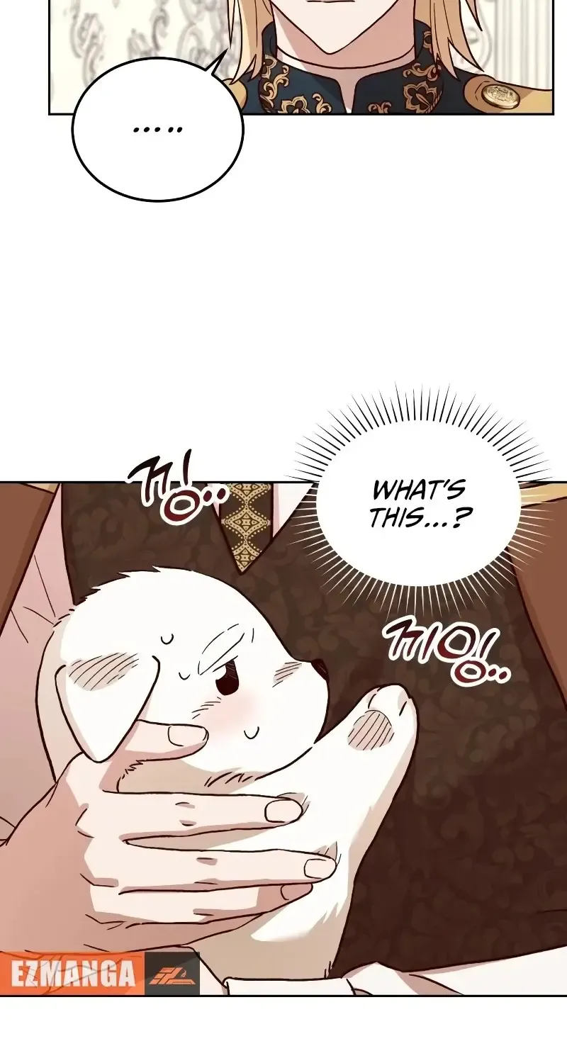 The Emperor's Dog Zinmanga X Chapter 5 Page 33