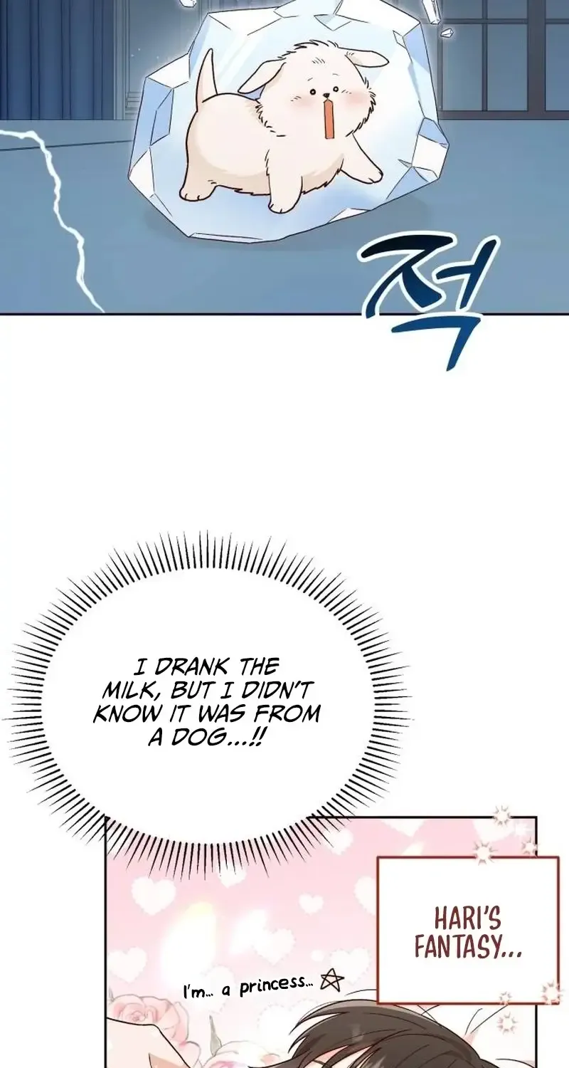 The Emperor's Dog Zinmanga X Chapter 3 Page 5