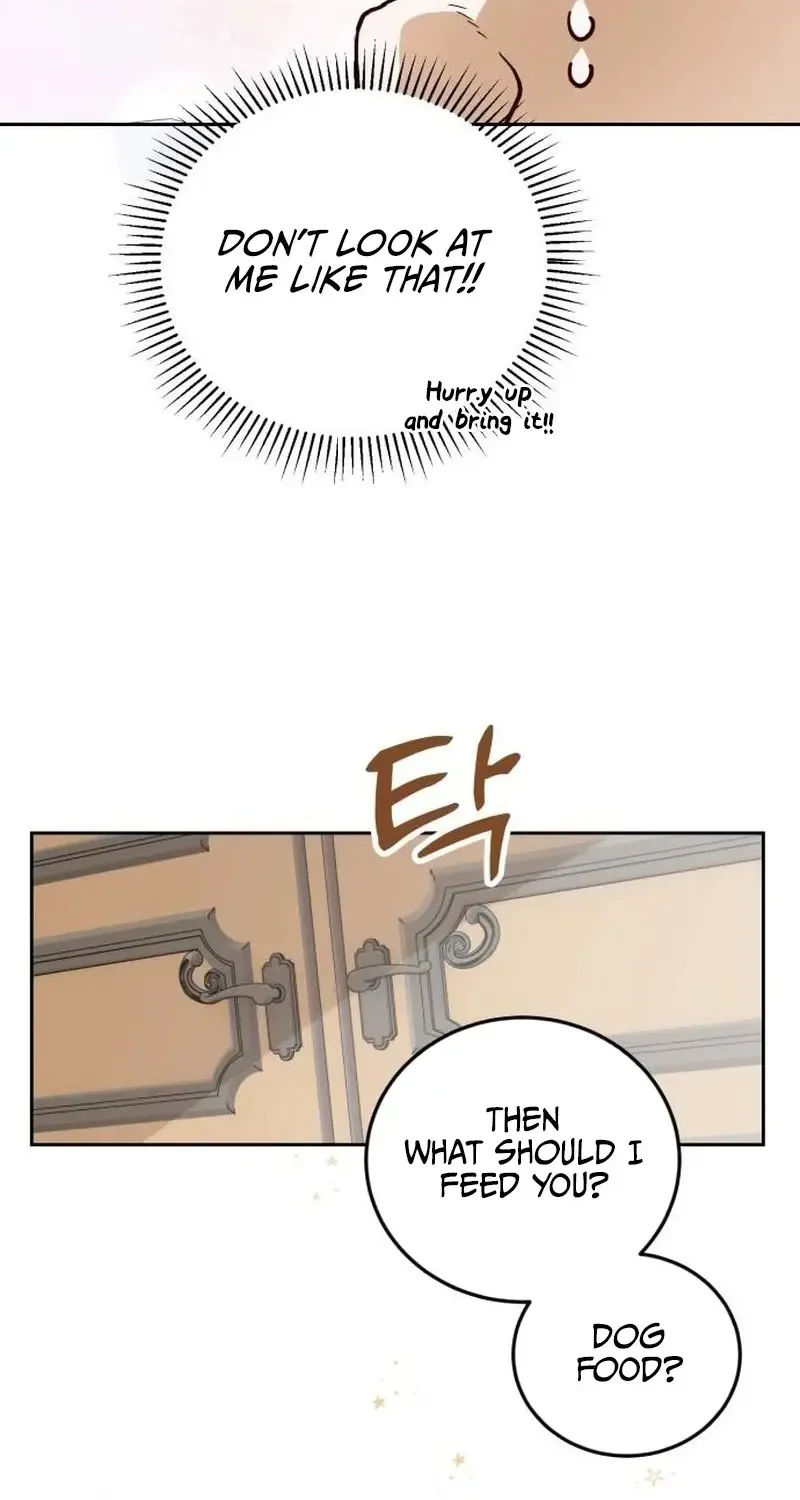 The Emperor's Dog Zinmanga X Chapter 3 Page 12