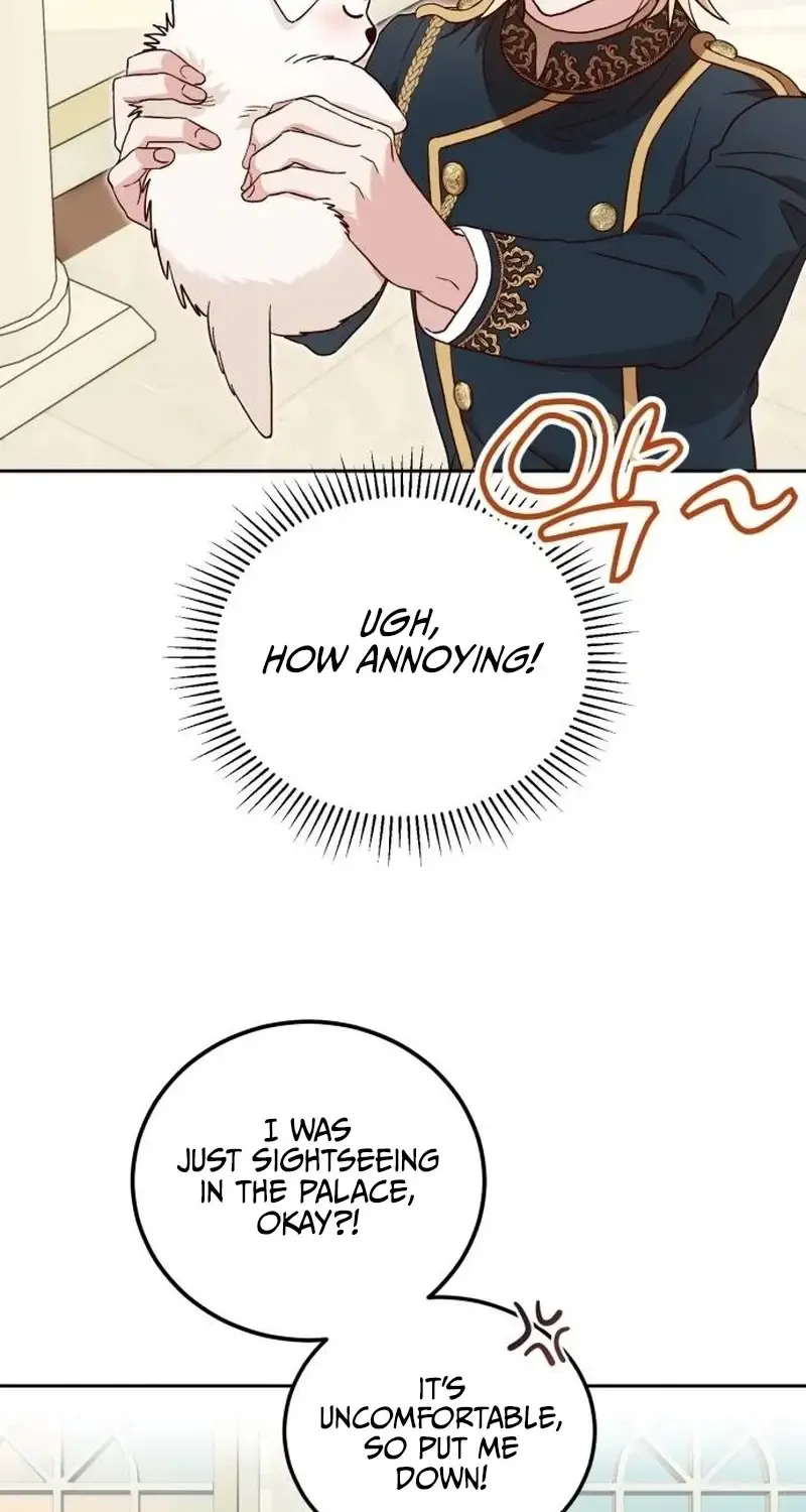 The Emperor's Dog Zinmanga X Chapter 3 Page 62