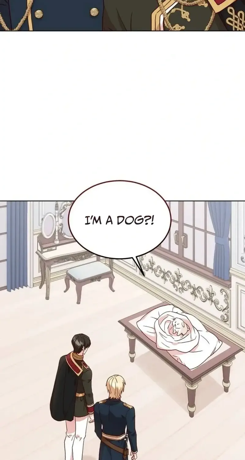 The Emperor's Dog Zinmanga X Chapter 1 Page 45